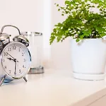 Apartament Greno Kielce